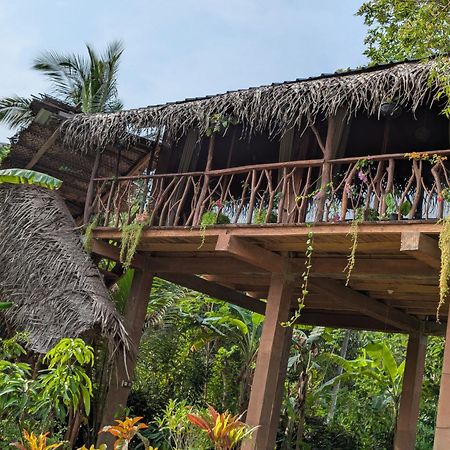 Sigiriya Rock View Tree House Villa Luaran gambar