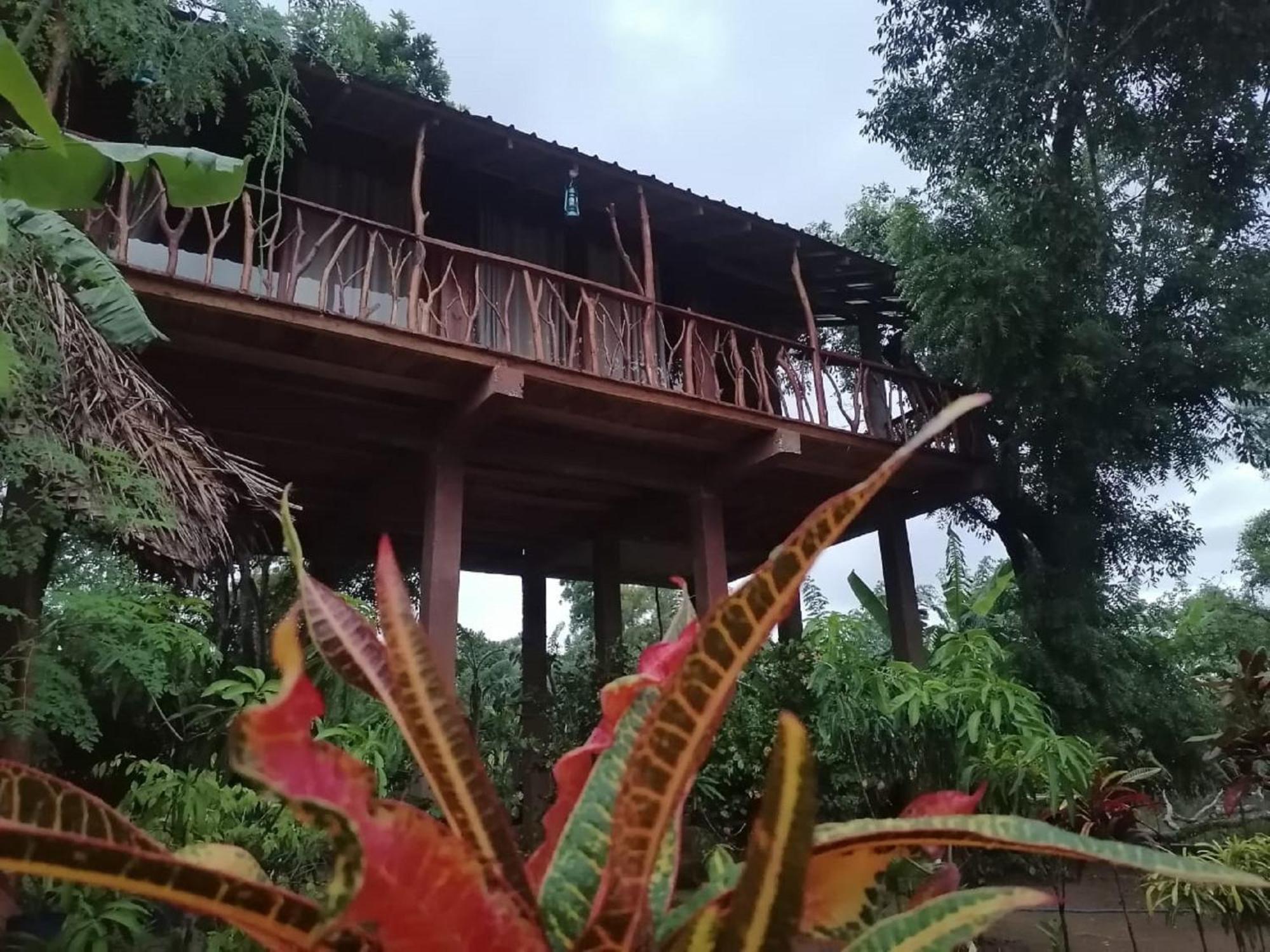 Sigiriya Rock View Tree House Villa Luaran gambar