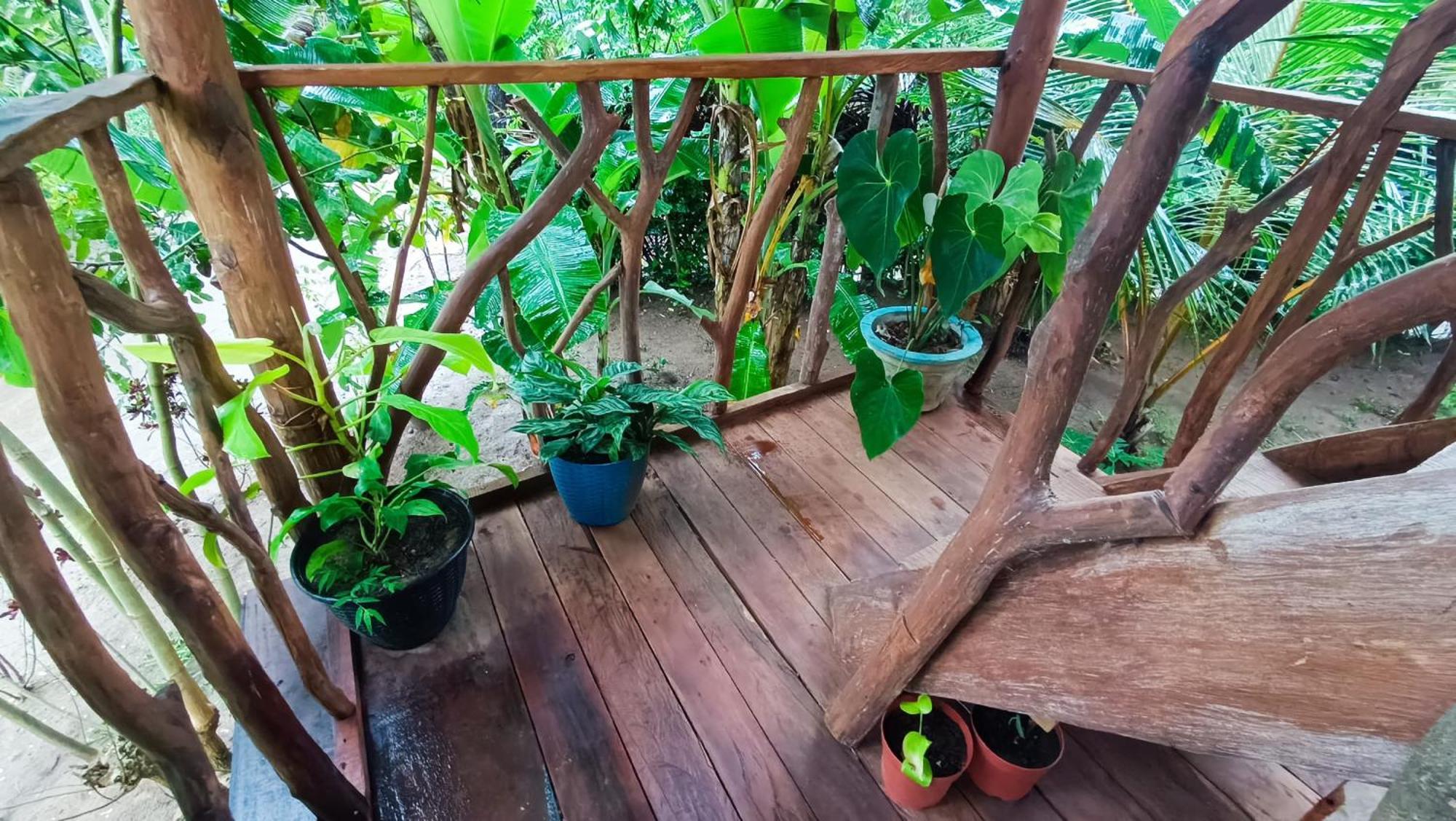 Sigiriya Rock View Tree House Villa Luaran gambar