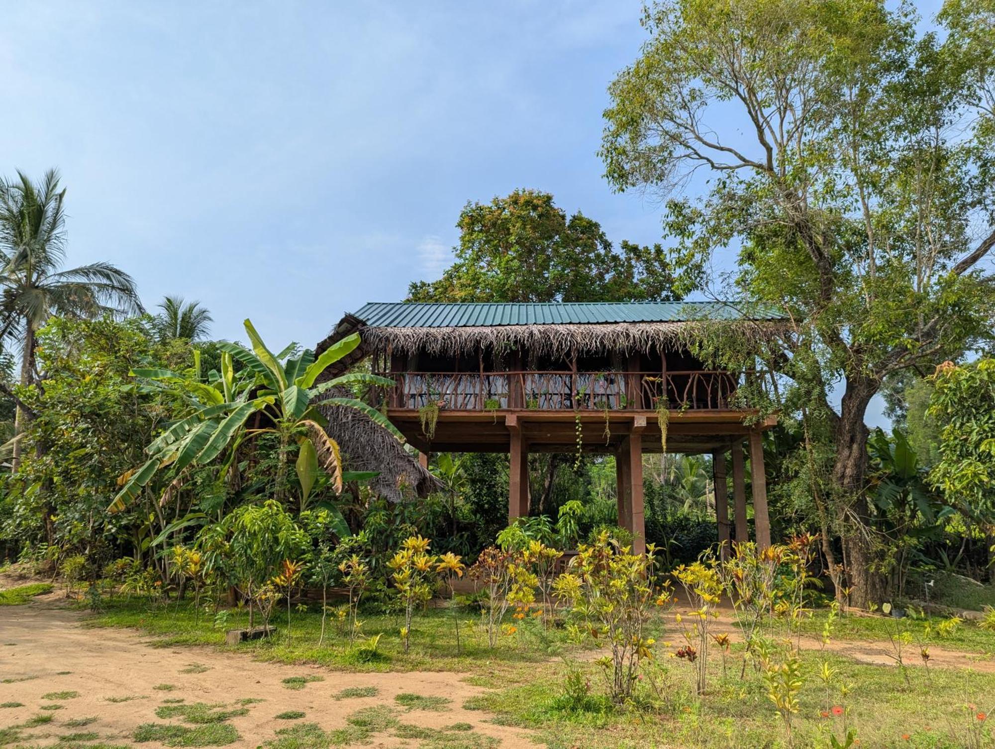 Sigiriya Rock View Tree House Villa Luaran gambar