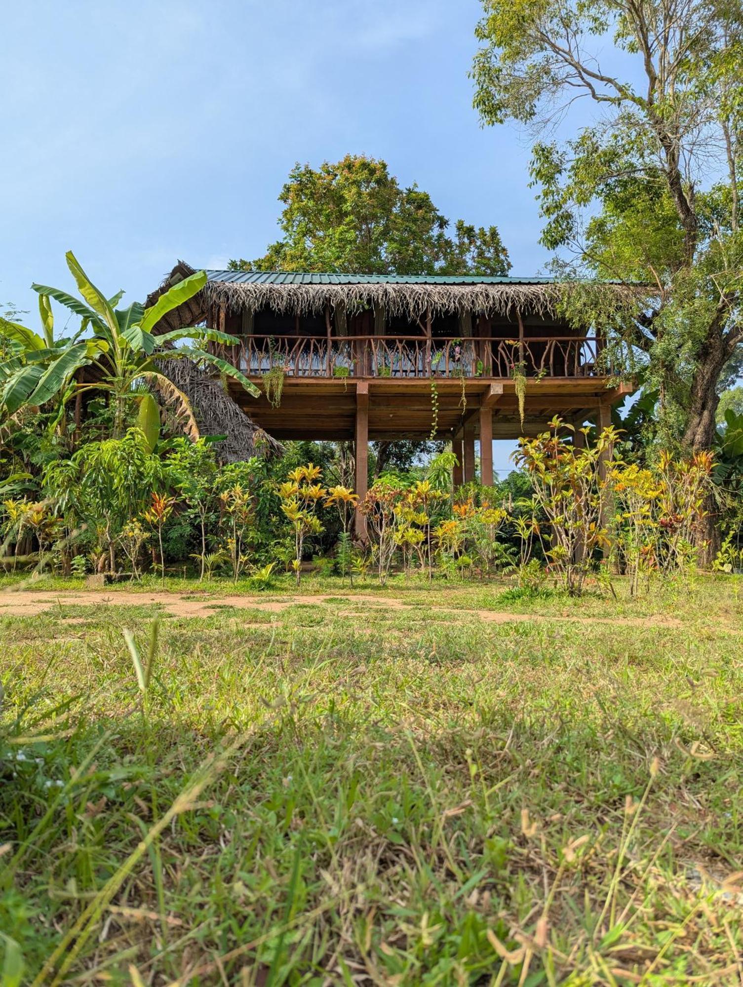 Sigiriya Rock View Tree House Villa Luaran gambar